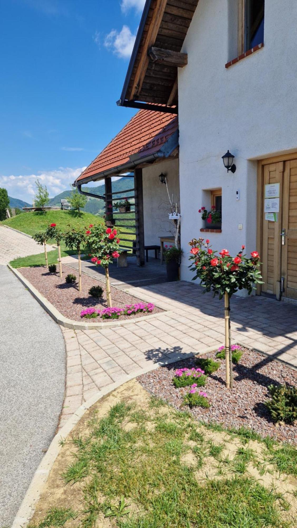 Relax Guest House Marjanca 로가스카슬라티나 외부 사진